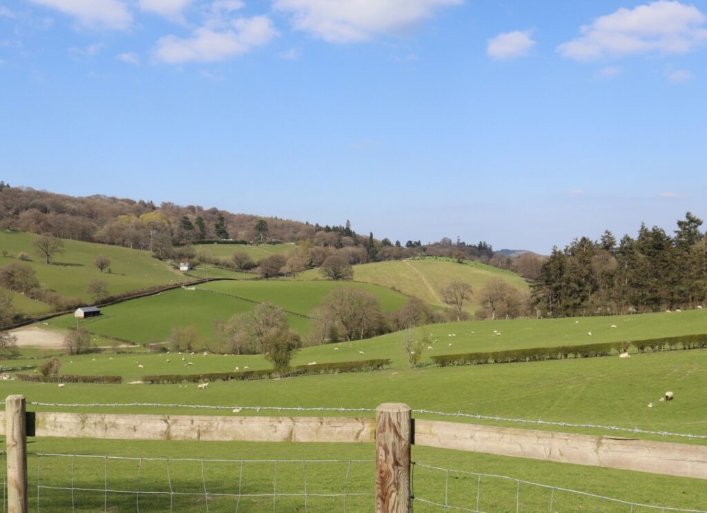 View of rolling Welsh hills with sheep grazing and a fence in the foreground.
