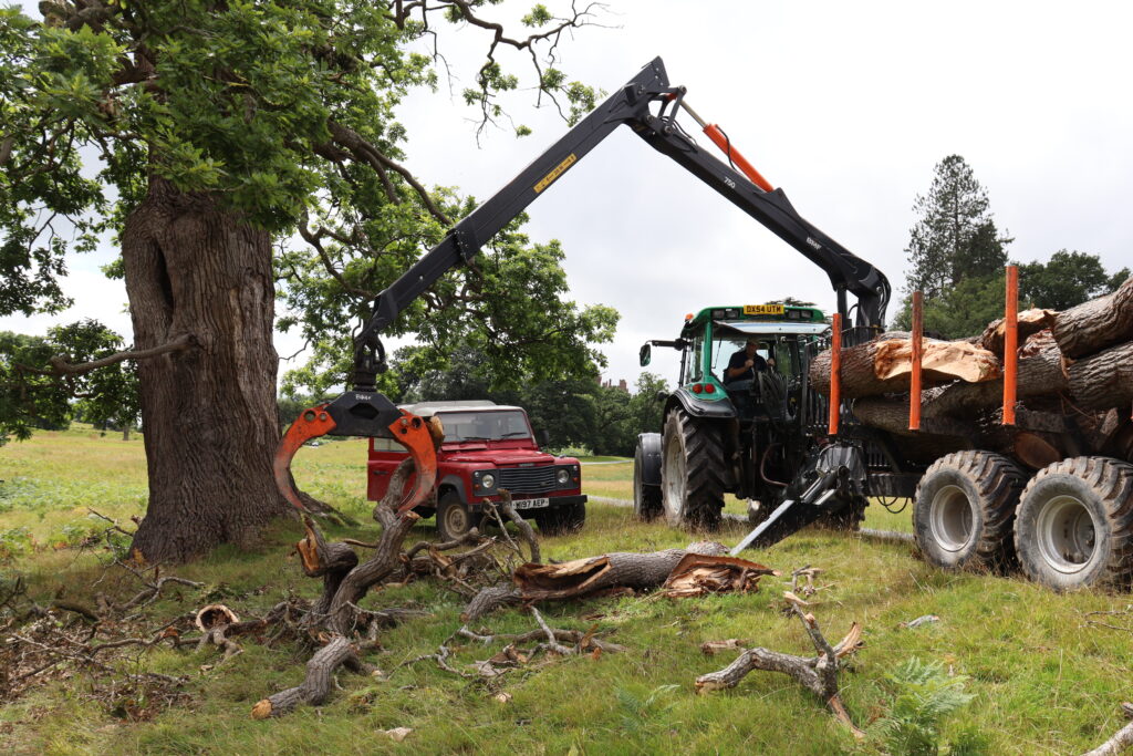Tractor and tree grabber collecting felled trees and loading onto trailer